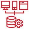 Development Partner
